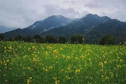 申時是什麼時候