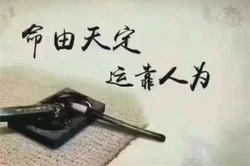 十天幹八格取用神