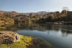 巳時是什麼時候